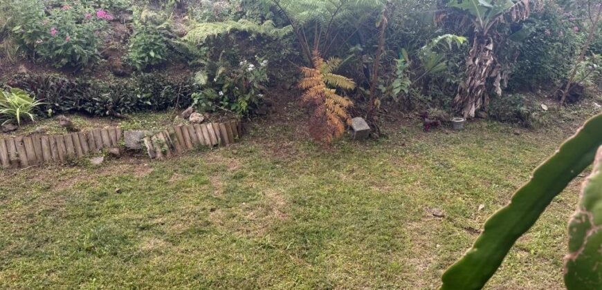 Location d’une villa récente de type F3 sur terrain de 322 m² au Tampon- Pont d’Yves