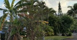 À vendre villa neuve en R+1 d’environ 100 m2 avec piscine à proximité du centre-ville d’Etang Salé les Hauts