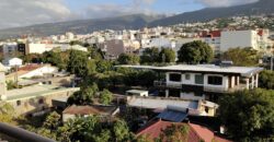 A louer un appartement T2 de 53m2 avec terrasse dans une résidence à Sainte Clotilde