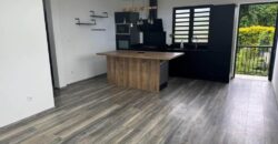 Location d’une jolie villa de type F3 de 49.50 m2 située dans un quartier paisible de Pont d’Yves au Tampon