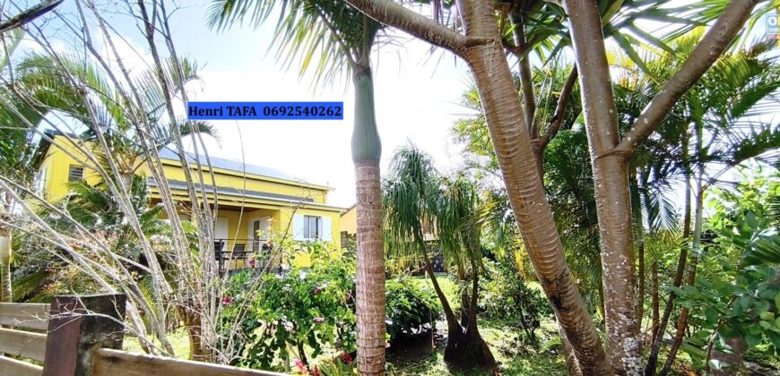 À louer une villa meublée de type F5/F6 à étage de 162.65 m2 située sur le secteur de Jean-Petit