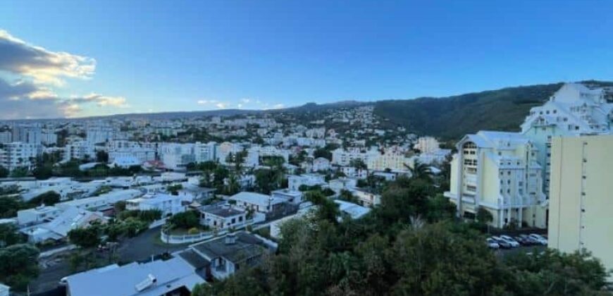 Location d’un bel appartement meublé T2 de 52.23 m2 situé à Saint Denis