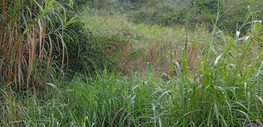 En vente un beau terrain de 500 m2 situé à Palmiste Rouge