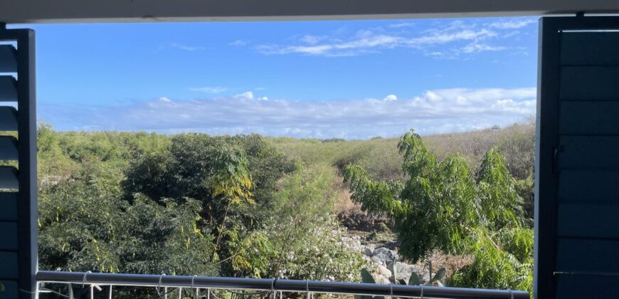 A vendre un appartement T3 en duplex proche des plages et des commerces à la Saline les bains