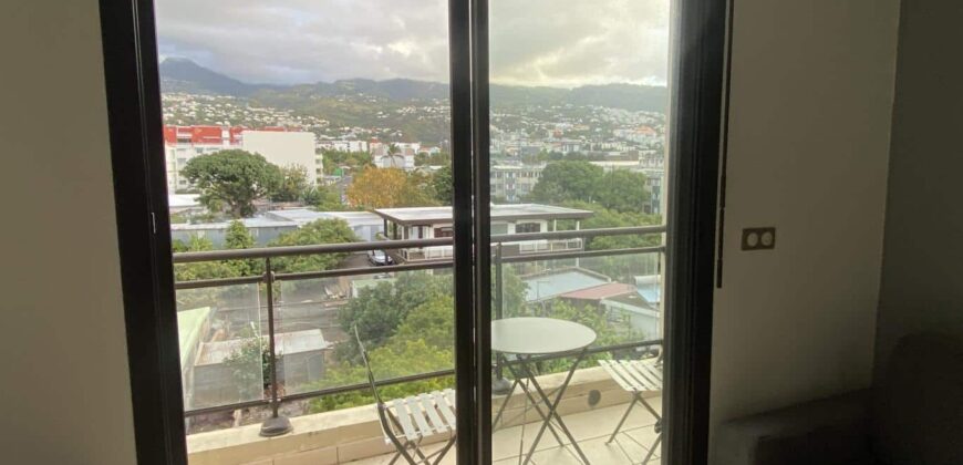 Location d’un studio de 22.48m2 proche des commodités à Sainte Clotilde