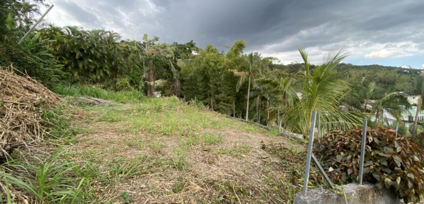 A vendre un beau terrain constructible de 1410m2 offrant vue montagne à La Montagne