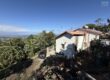 À vendre villa T3/4 de 120 m2 à rénover avec vue mer à La Rivière Saint-Louis