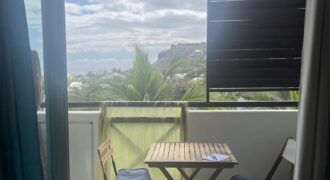 A louer un studio meublé de 28m2 proche de la plage et commerces à Boucan Canot