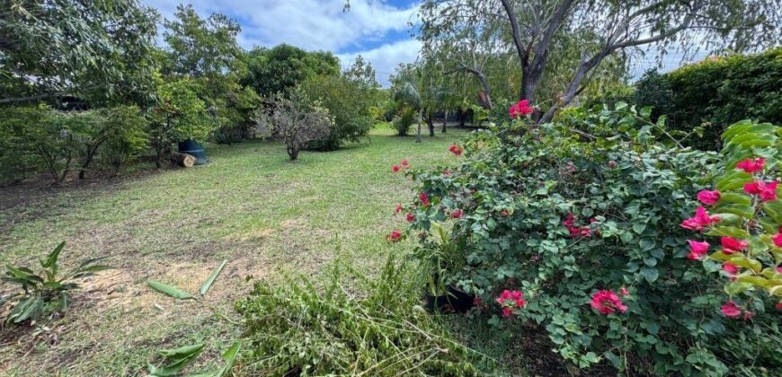 En vente un magnifique terrain de 490 m2 situé à La Ravine des Cabris