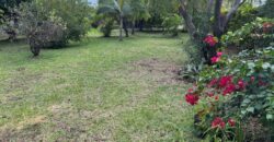 En vente un magnifique terrain de 490 m2 situé à La Ravine des Cabris