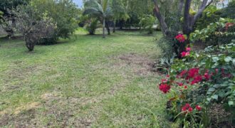 En vente un magnifique terrain de 490 m2 situé à La Ravine des Cabris
