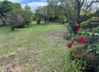En vente un magnifique terrain de 490 m2 situé à La Ravine des Cabris