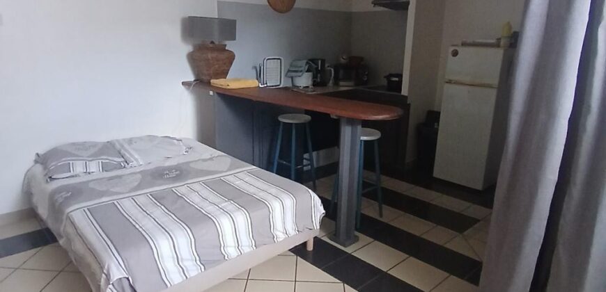A vendre un lot de deux appartements, un T2 et un studio, situés à seulement 2 minutes à pied de la plage au cœur de Saint-Gilles les Bains