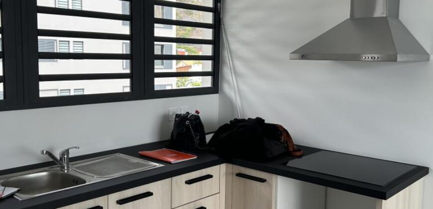 Location d’un appartement T2 climatisé neuf situé en plein centre-ville de Saint-Paul