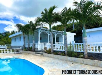 À louer une villa T5/6 de plain-pied avec piscine et jardin située à La Montagne