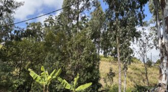 À vendre à Trois Bassins un beau terrain de 1431 m2 dont 631 m2 constructibles