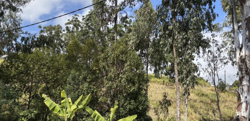 À vendre à Trois Bassins un beau terrain de 1431 m2 dont 631 m2 constructibles