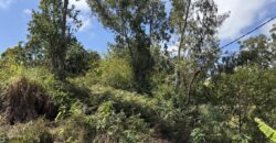 À vendre à Trois Bassins un beau terrain de 1431 m2 dont 631 m2 constructibles