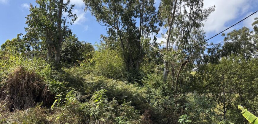 À vendre à Trois Bassins un beau terrain de 1431 m2 dont 631 m2 constructibles