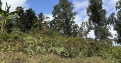 À vendre à Trois Bassins un beau terrain de 1431 m2 dont 631 m2 constructibles