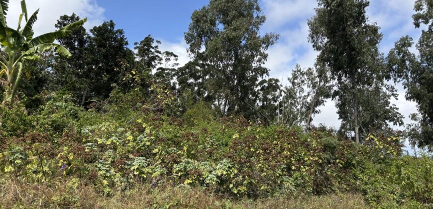 À vendre à Trois Bassins un beau terrain de 1431 m2 dont 631 m2 constructibles
