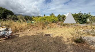 Vente terrain de 964 m² situé à deux pas du Lagon à Saline-les-Bains