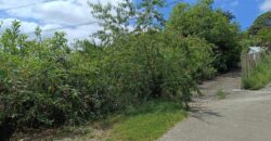 En vente un terrain arboré de 400 m2 situé dans un quartier calme à L’Entre Deux