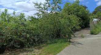 En vente un terrain arboré de 400 m2 situé dans un quartier calme à L’Entre Deux En vente un terrain arboré de 400 m2 situé dans un quartier calme à L’Entre Deux