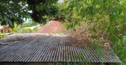En vente un terrain arboré de 400 m2 situé dans un quartier calme à L’Entre Deux