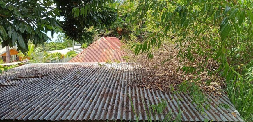 En vente un terrain arboré de 400 m2 situé dans un quartier calme à L’Entre Deux