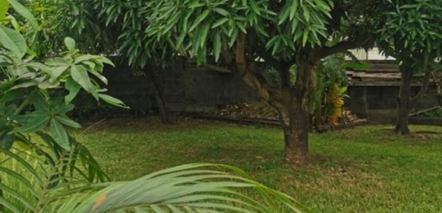 Location d’une agréable villa T4 avec beau jardin clôturé située à Saint Louis