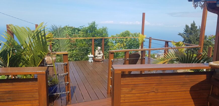 A louer une belle villa meublée de 55m2 avec vue mer et montagne à la Chaloupe Saint Leu