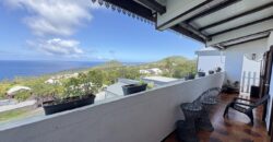 En vente une maison individuelle divisée en 3 appartements sur une parcelle de 730 m² située à Vincendo