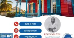 En vente une maison individuelle divisée en 3 appartements sur une parcelle de 730 m² située à Vincendo