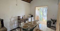 En vente une maison individuelle divisée en 3 appartements sur une parcelle de 730 m² située à Vincendo