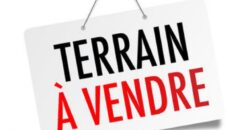 A vendre un vaste terrain de 1520m2 dont 407m2 constructibles dans le quartier paisible de Piton Bois de Nèfles à Sainte Clotilde