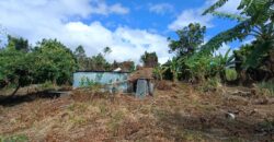 A vendre un grand terrain viabilisé de 922m2 situé en fond d’impasse à Sainte Anne
