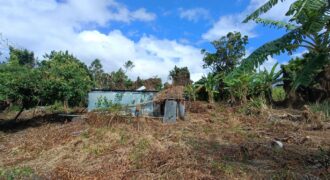 A vendre un grand terrain viabilisé de 922m2 situé en fond d’impasse à Sainte Anne