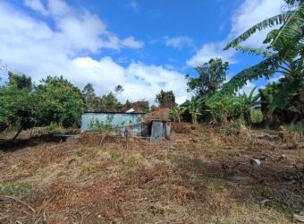 A vendre un grand terrain viabilisé de 922m2 situé en fond d’impasse à Sainte Anne