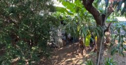 Location villa T3 meublée située en plein centre-ville de Saint Pierre