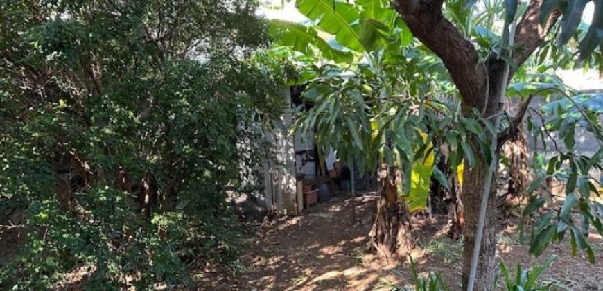Location villa T3 meublée située en plein centre-ville de Saint Pierre