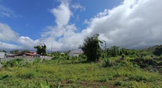 En vente un vaste terrain constructible de 1742m2 situé dans le secteur de St François à Sainte Anne