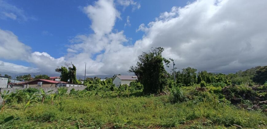 En vente un vaste terrain constructible de 1742m2 situé dans le secteur de St François à Sainte Anne