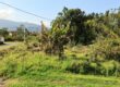 A vendre un terrain constructible de 641m2 proche des commerces à La Plaine des Palmistes