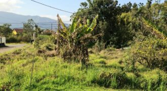A vendre un terrain constructible de 641m2 proche des commerces à La Plaine des Palmistes