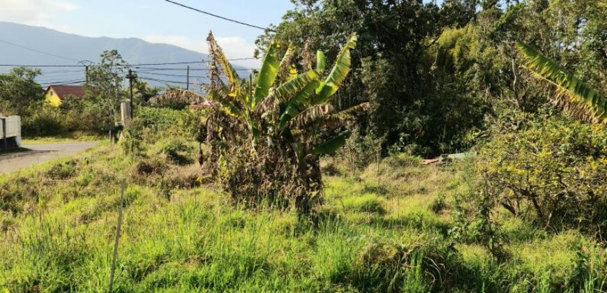 A vendre un terrain constructible de 641m2 proche des commerces à La Plaine des Palmistes