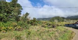 A vendre un terrain constructible de 641m2 proche des commerces à La Plaine des Palmistes