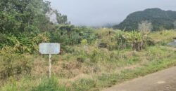 A vendre un terrain constructible de 641m2 proche des commerces à La Plaine des Palmistes
