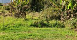 A vendre un terrain constructible de 641m2 proche des commerces à La Plaine des Palmistes