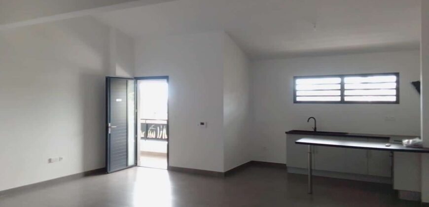 Location d’un appartement de standing de 98.73m2 avec parking à Saline les Hauts